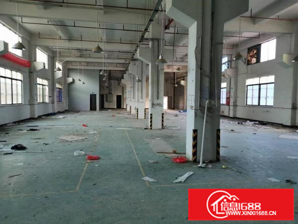 凤岗碧湖大道旁一二楼各1000平米出租6米高九成新厂房