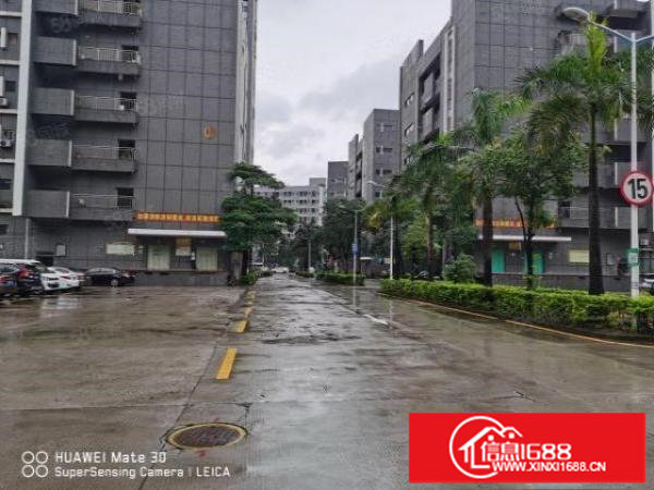 龙华大浪高新园区2800精装修厂房招租