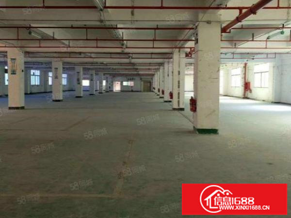 松岗大田洋，原房东，7300平米，独门独院厂房招租