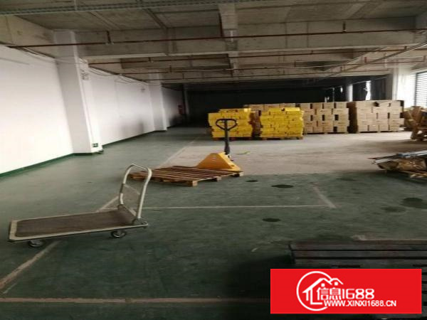 平湖海吉星附近新出一楼500平方厂房出租