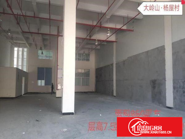 杨屋新出1楼850平方，独门独院,,消防喷淋,看中就租！