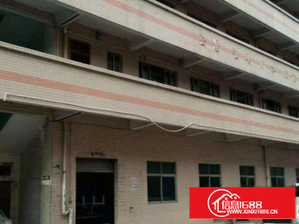 万江现新搬空工业区大小厂房仓600/800/平方