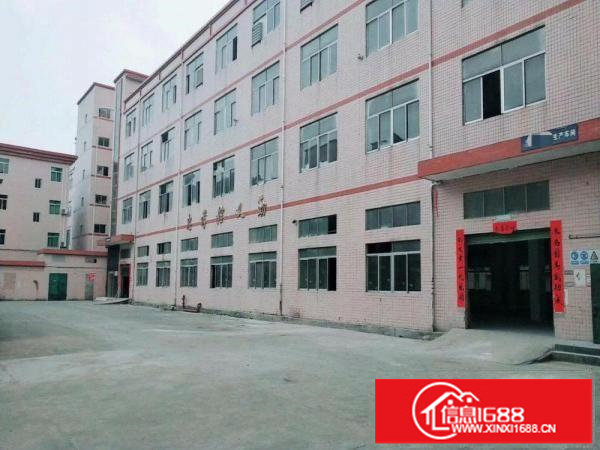 龙岗同乐新出独院厂房9000平方超低价火热招租中