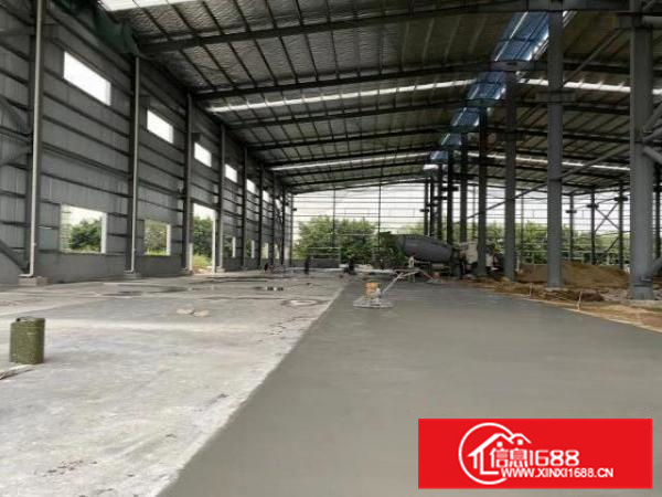 云东海，全新厂房出租。
