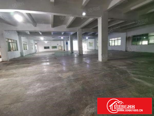 房东出租标准厂房一楼面积1300平方米