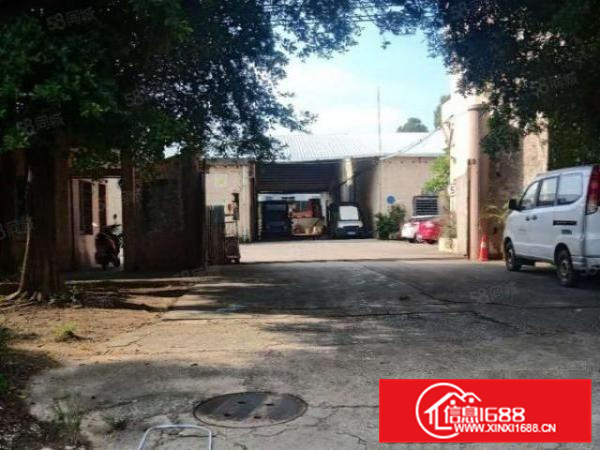 三水乐平原房东1200方独门独院有办公宿舍马路边拖车好进出