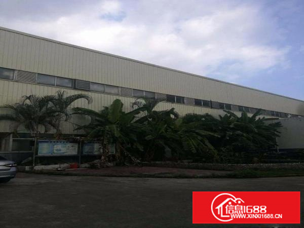 坪山大工业区950平层高10米钢构招租