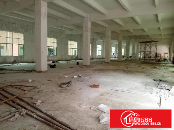 园洲镇原房东独院厂房出租可分租工业用地包办环评