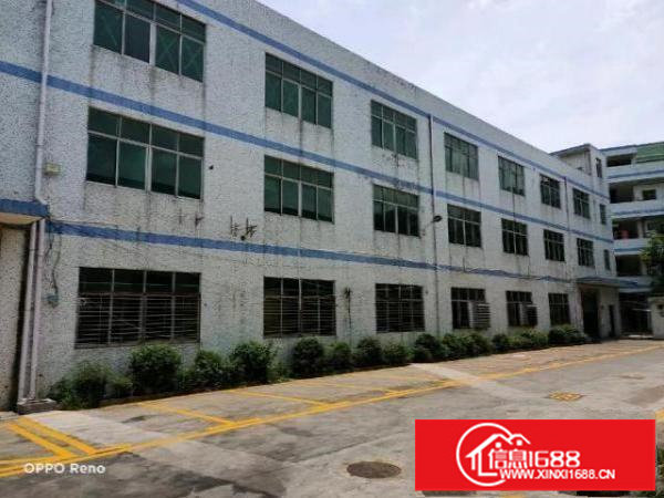 坪山石井主路边标准一楼厂房1850平方招租