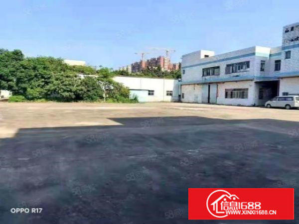 塘厦一手房东大独院厂房现大小分租！一手房东！标准加钢构厂房！