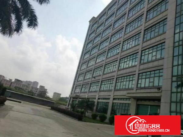 坪山新区红本独院厂房6万平方招租，可分租