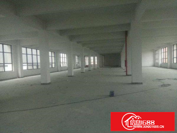 出租龙岗区浪背标准厂房一楼800平有消防喷淋