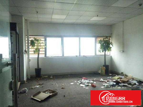 新墟红本研发厂房480平米精装修整租