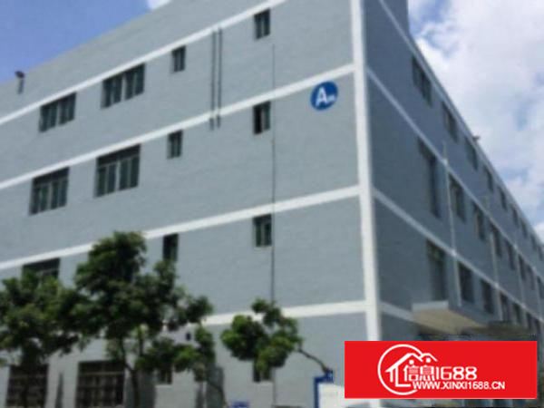 万江工业园楼上带装修厂房分租1600平方出租