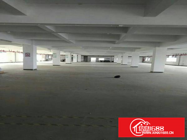 观澜高新区新出一栋7层，每层2000平米出租