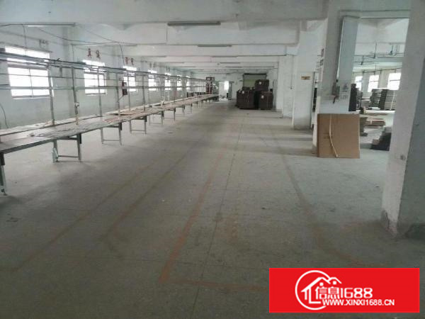 沙荷路边上二楼1000平，面积实在！！！