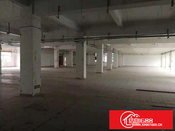 出租龙岗区坪地教育北路标准厂房三楼500平方