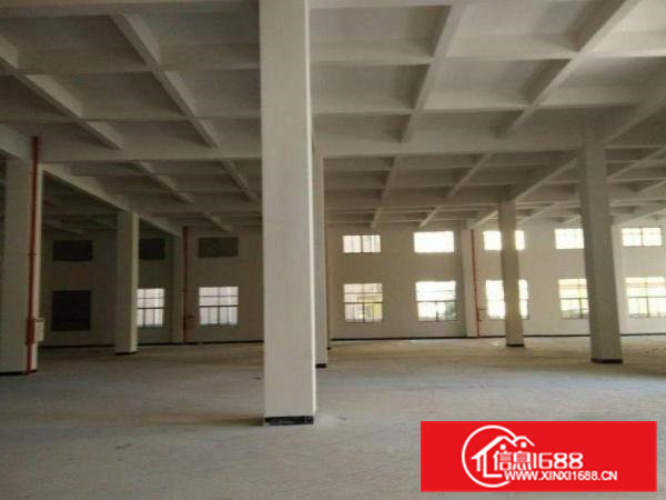 星光新出标准一楼400方，价格便宜，带装修