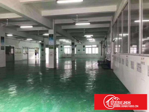 平湖白泥坑紧靠海吉星460平方带150平方冷库，办公室出租