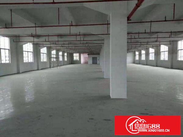 坂田工业园内原房东分租楼上1500平米