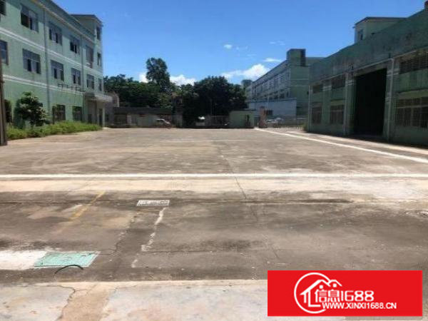 坪山石井路口新出原房东独院9650平方厂房实际面积出租