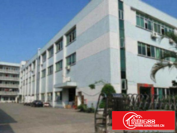 万江1800平方标准一楼或二楼急租(现成办公室)