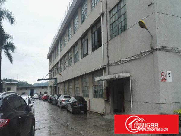 独院厂房分租2楼550平方带装修出租