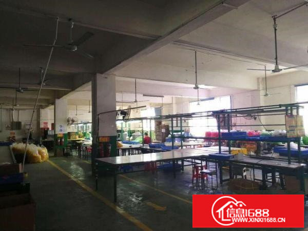 坪山碧岭4000平独院空地大的可以养殖