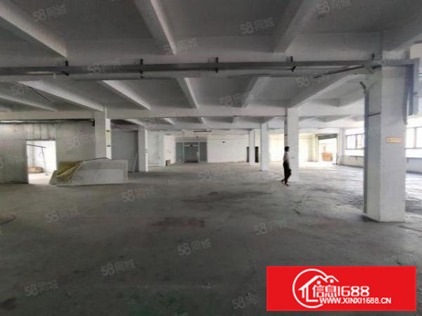 清溪三中原房东标准二楼厂房1100平招租可分租可办环评