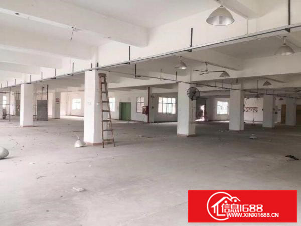 大康原房东独院厂房500平方起分租，可整租有货梯包隔墙