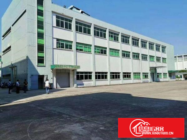 大朗新出原房东独院厂房4000平方精装修急租