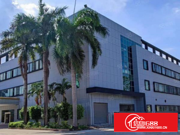 石排经典独院厂房4500平方米出租，可分租