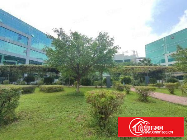 （急租）石岩可申请房租补贴的高端厂房招租