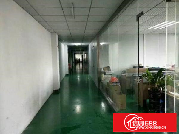 还珠沥新出标准共三层3800平米出租