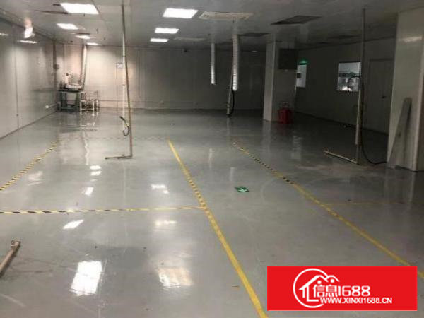 装修好的SMT车间分租，