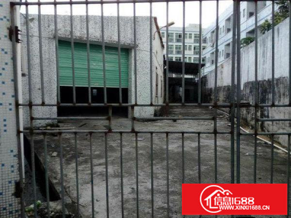 坪山宝龙路口深汕路边上一楼钢构独院厂房就在路边上