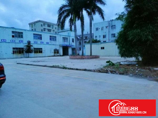 坪山碧岭独门独院超大空地厂房成本价出租