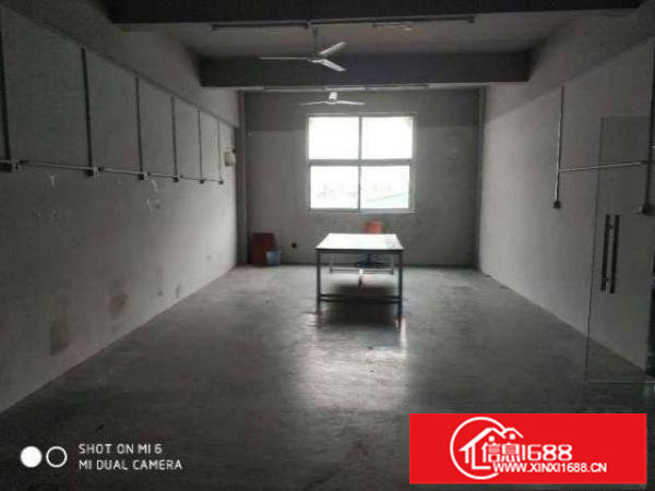 塘坑地铁口1楼230平2楼248平3楼130平电商办公加仓库