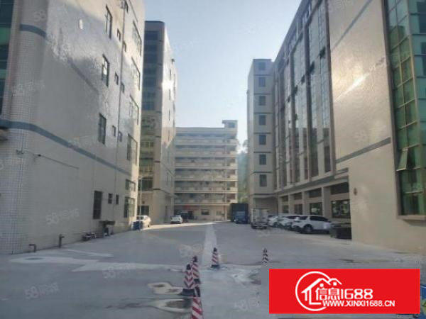 凤岗金凤凰工业区空出楼上650平方精装重工业厂房出租