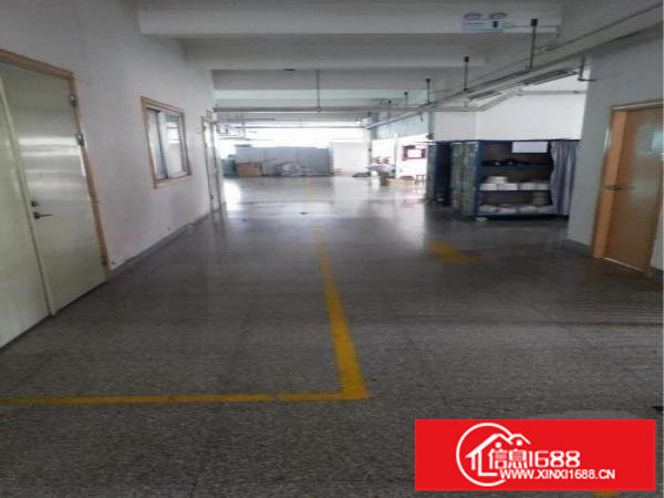 横岗大康独院原房东带装修厂房2200平米大小出租