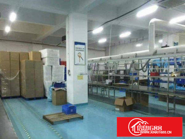 常平桥沥楼上1000平米厂房出租带地坪漆