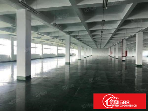 独门独院，乐从工业区17000方标准厂房带办公宿舍楼可办环评