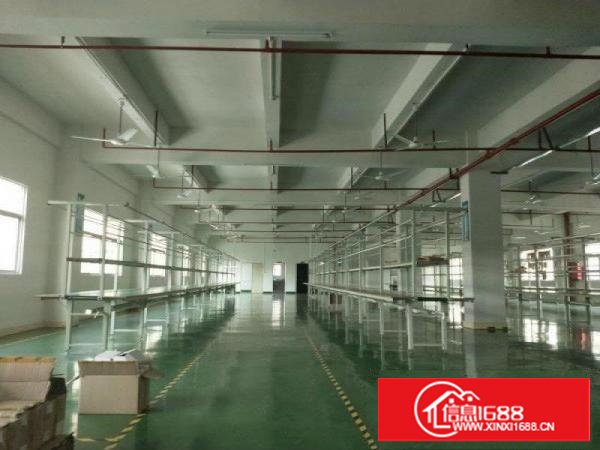 塘厦桥陇近凤岗独院标准3楼1200平方！可做电池，现成装修