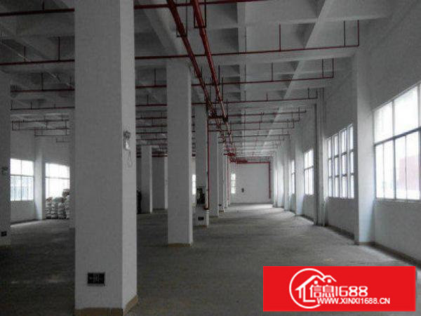 龙岗区嘉华路一楼800平米厂房出租