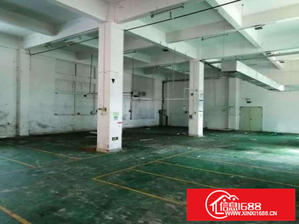 出租坪山区碧岭一楼1200平方，高5.8米;原房东实际面积