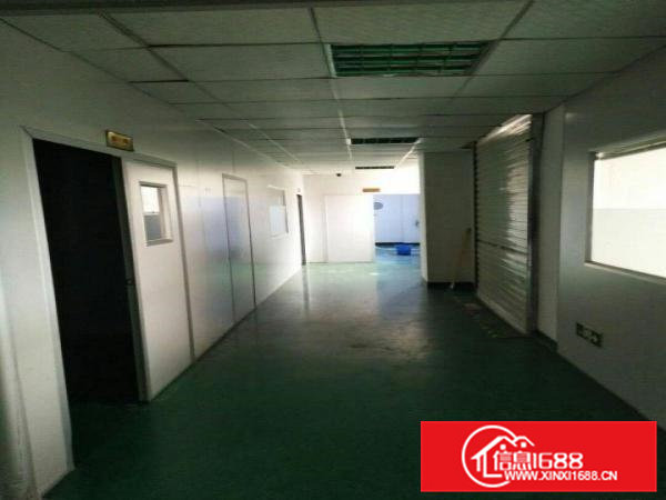 精装修，虎门龙眼新出楼上带装修厂房1300平