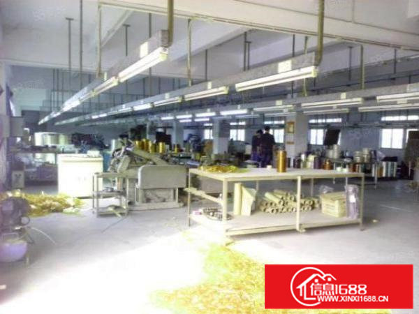 原房东独院厂房三层5500平方米按需分租