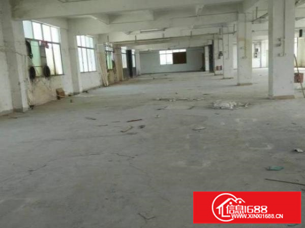 同乐浪背原房东无公摊楼上整层1200平15元出租