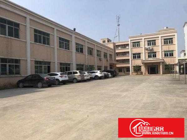 清溪车站新出原房东一楼1000平方带装修急租