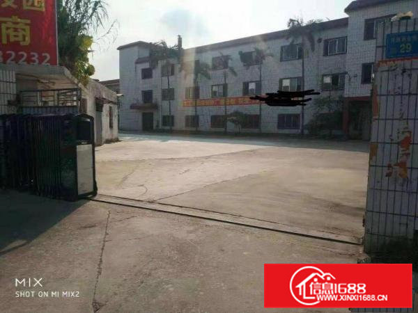 桥头独门独院工业用地厂房